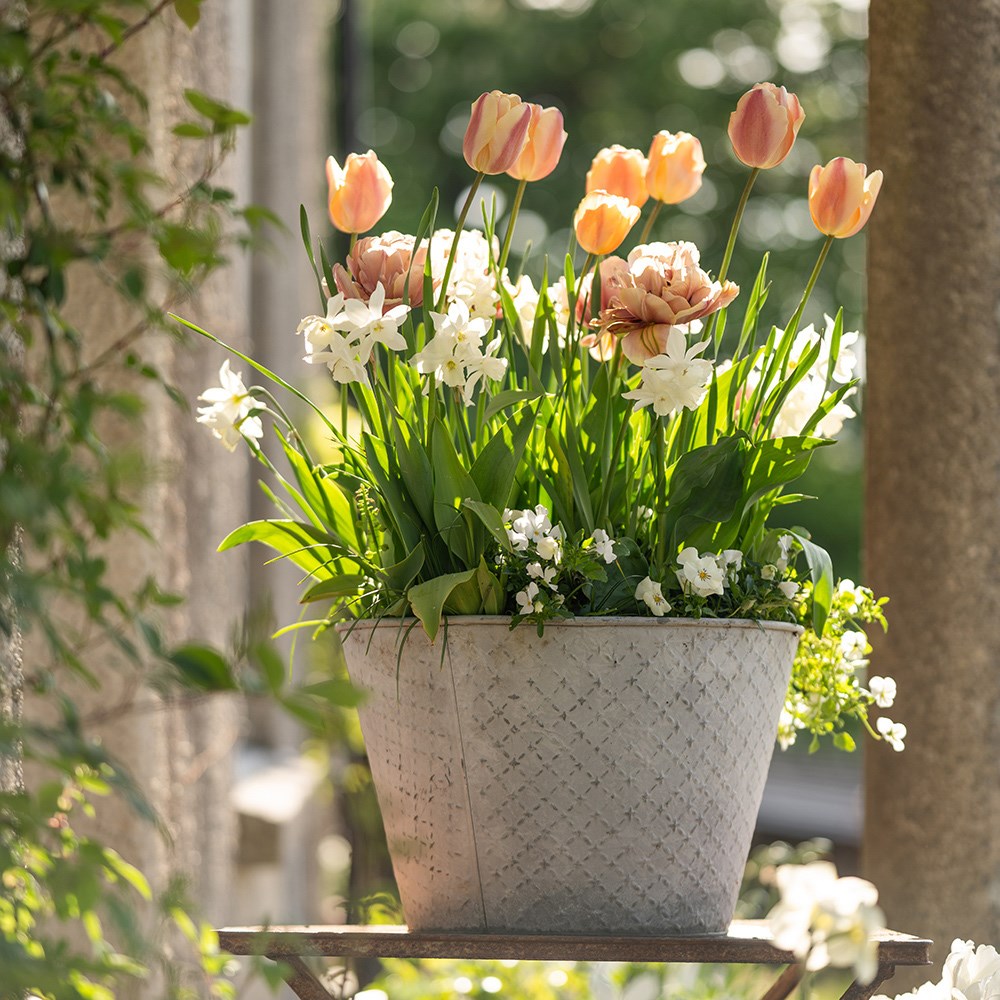 Embossed galvanised metal planter - aged zinc