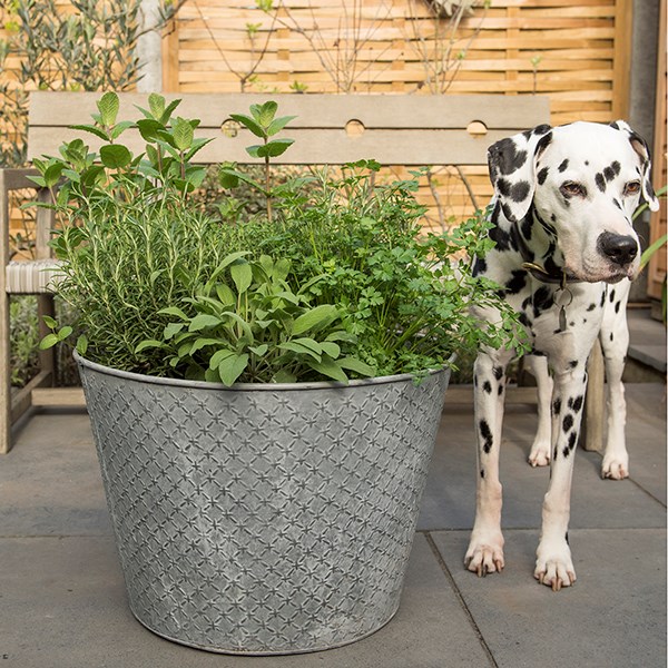 Embossed galvanised metal planter - aged zinc