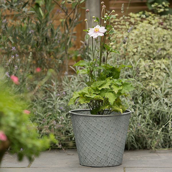 Embossed galvanised metal planter - aged zinc