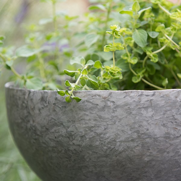 Sphere planter with stand