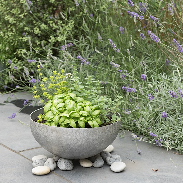 Sphere planter with stand