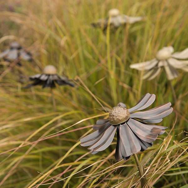 Helenium flower stake 
