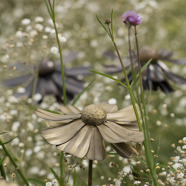 Helenium flower stake 
