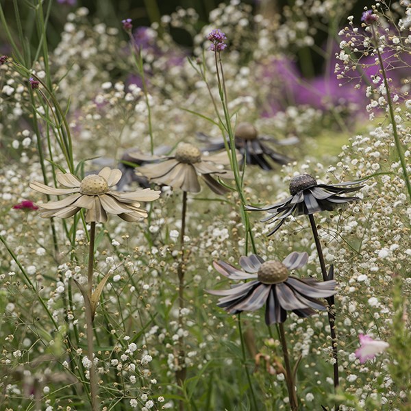 Helenium flower stake 