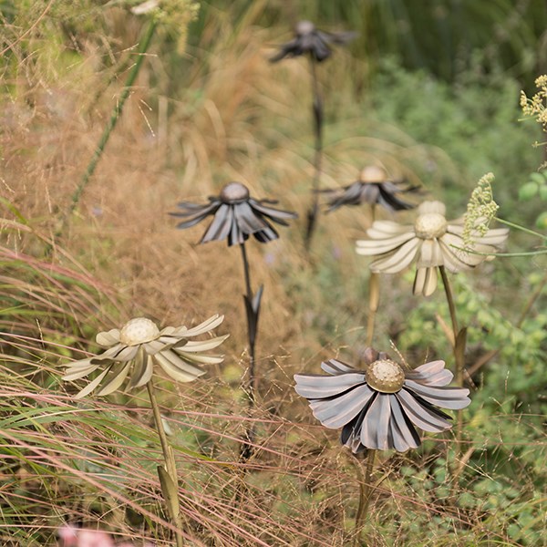 Helenium flower stake 