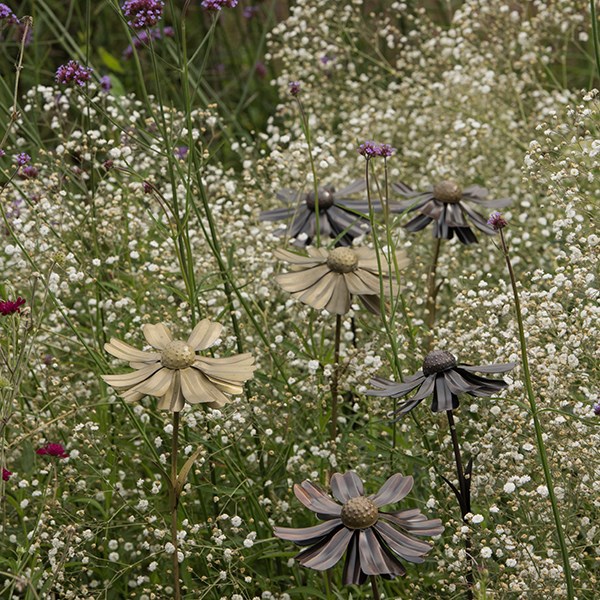 Helenium flower stake 