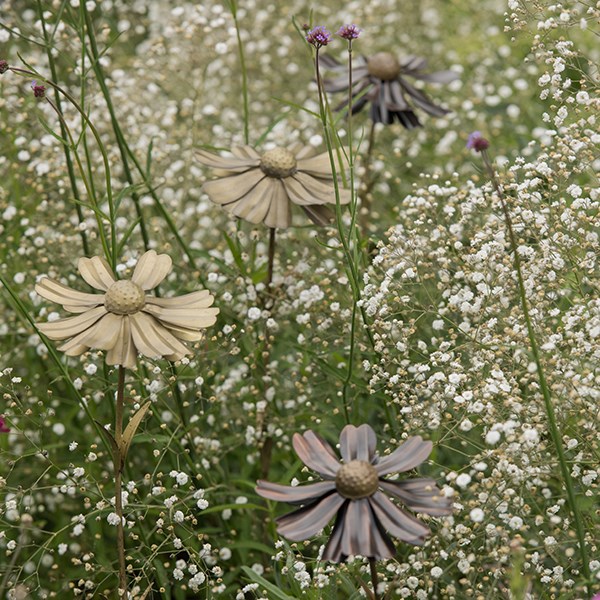 Helenium flower stake 