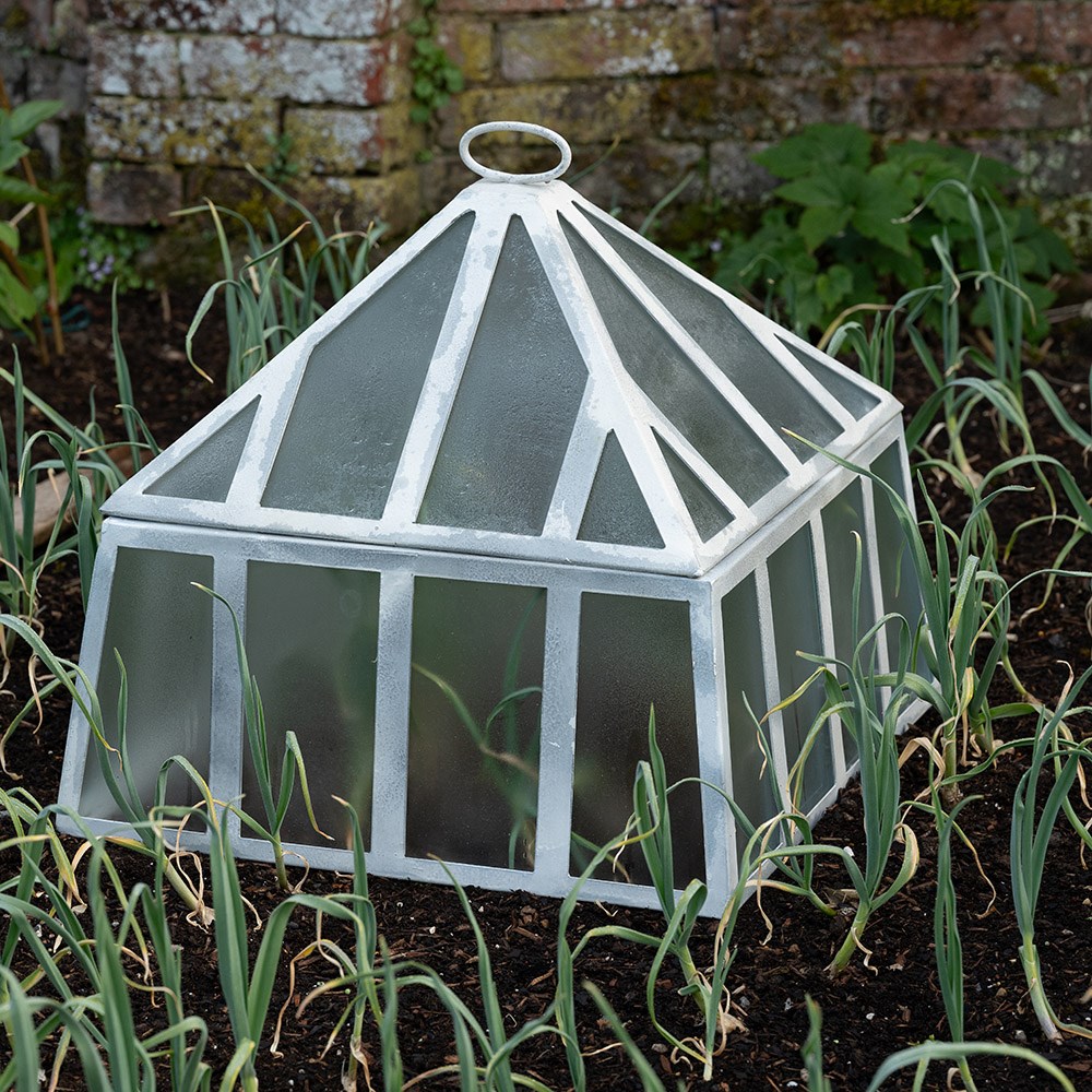 Square Victorian cloche - chalky white
