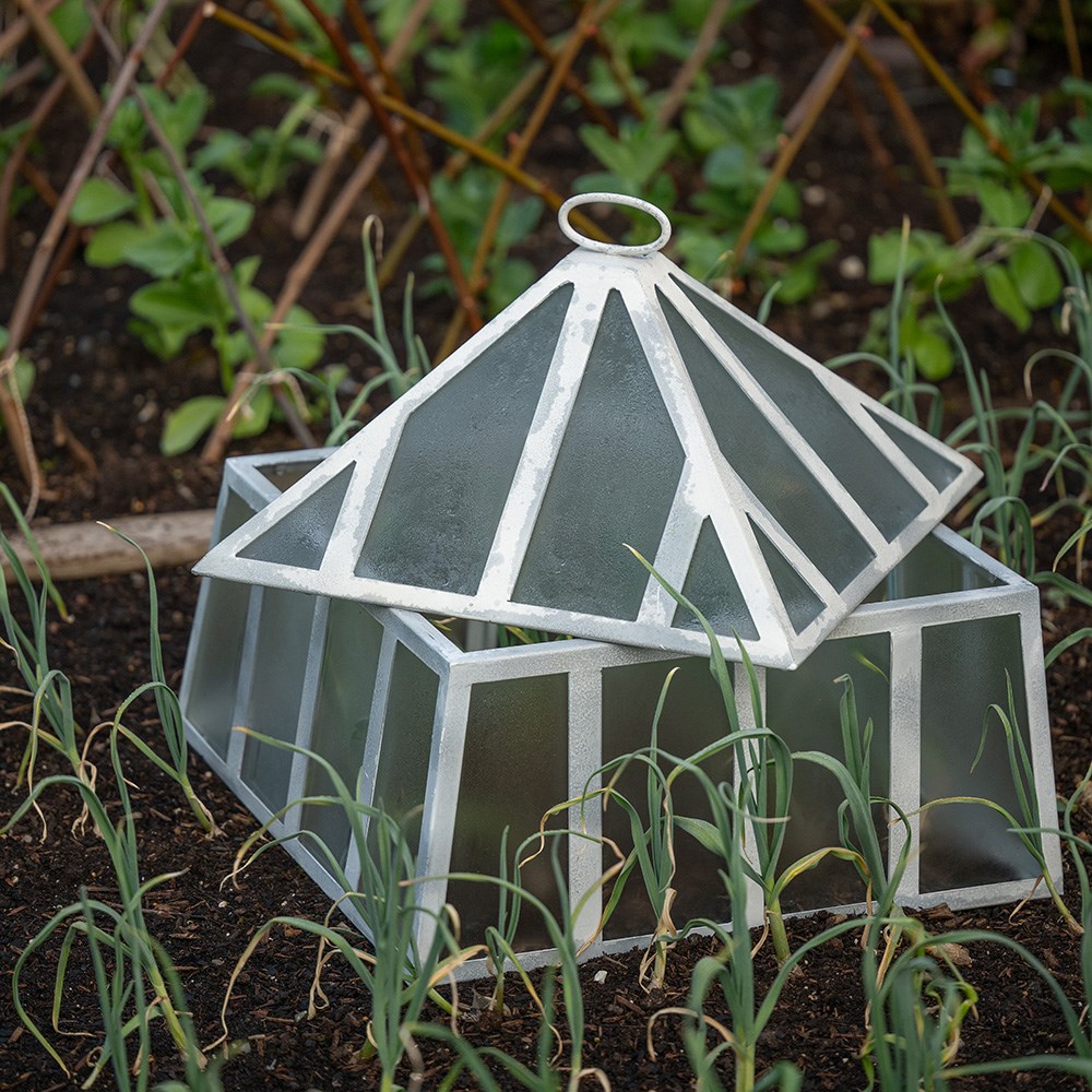 Square Victorian cloche - chalky white