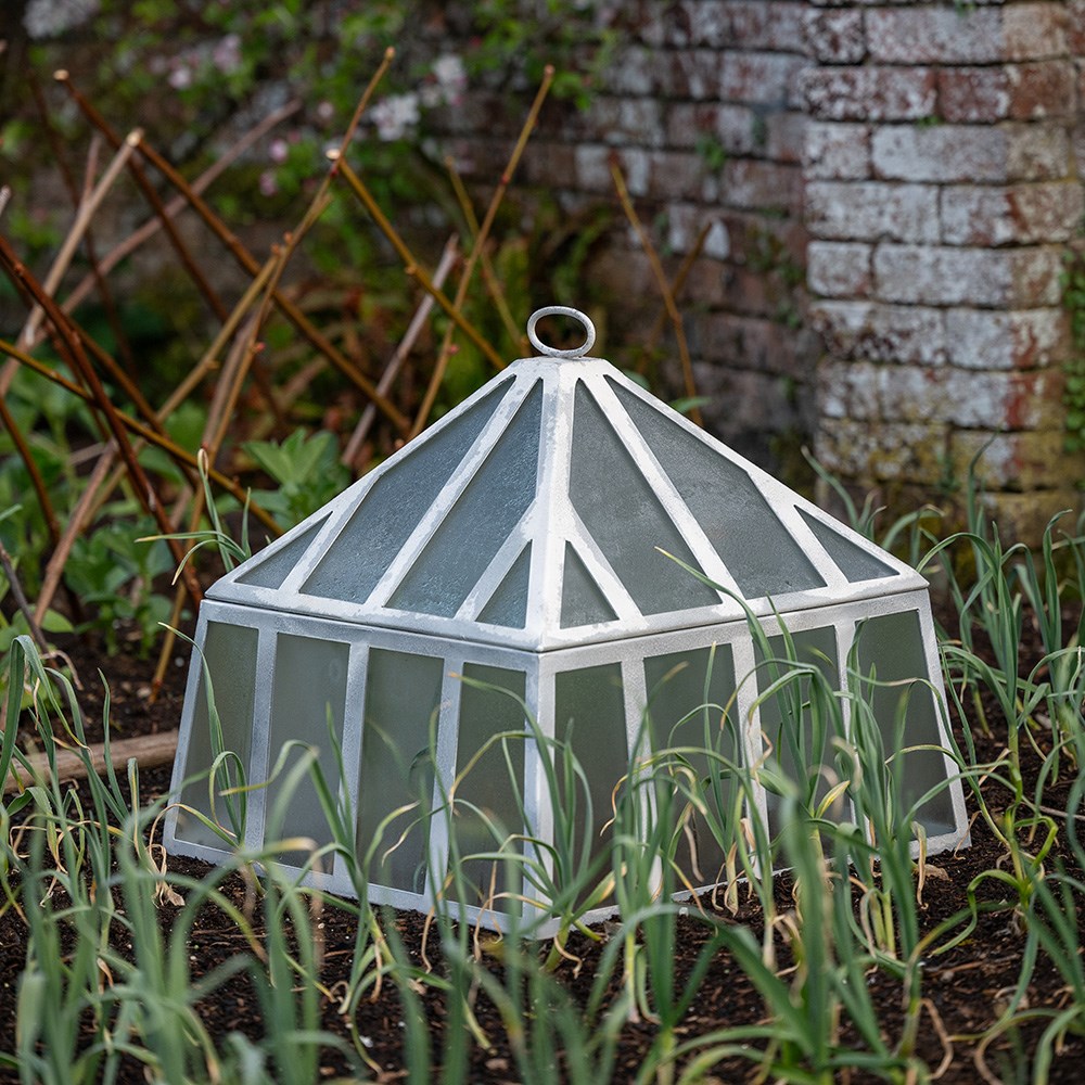 Square Victorian cloche - chalky white