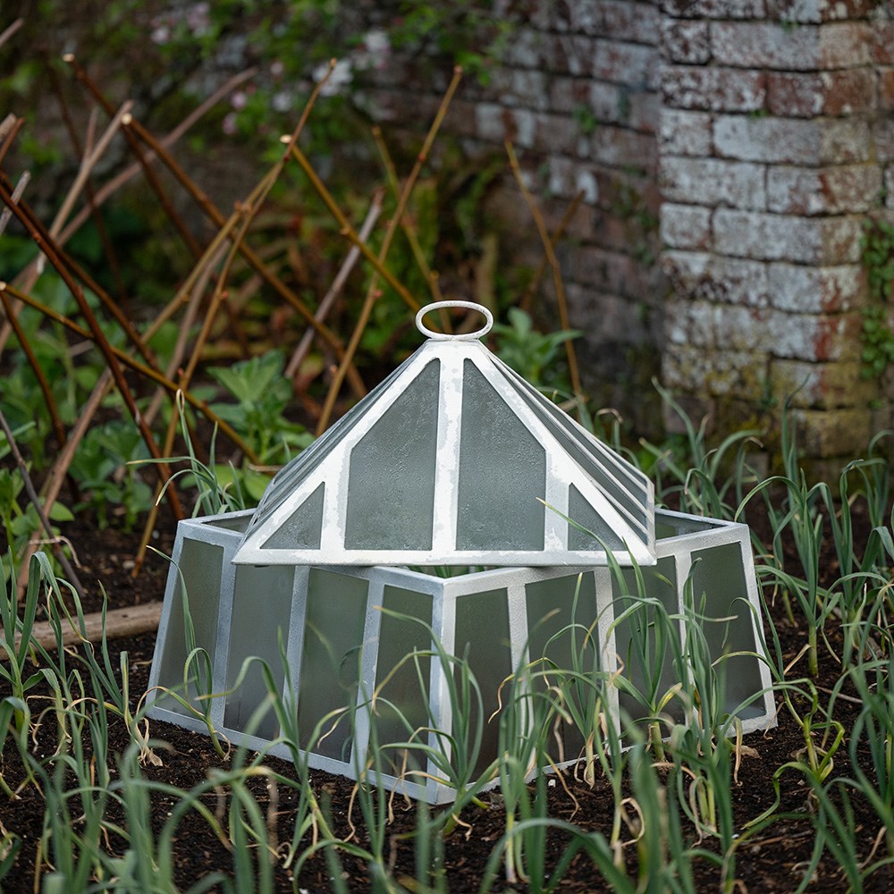 Square Victorian cloche - chalky white