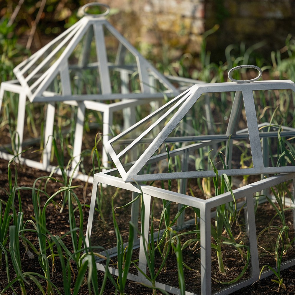 Square Victorian cloche - chalky white
