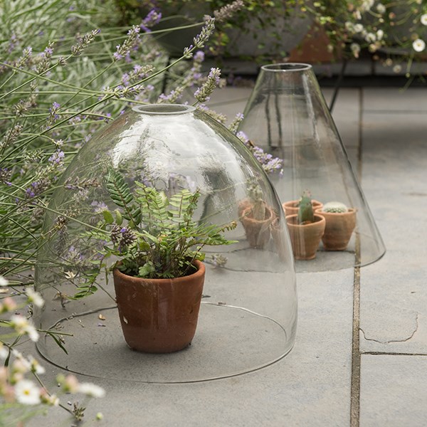 Open topped glass cloche