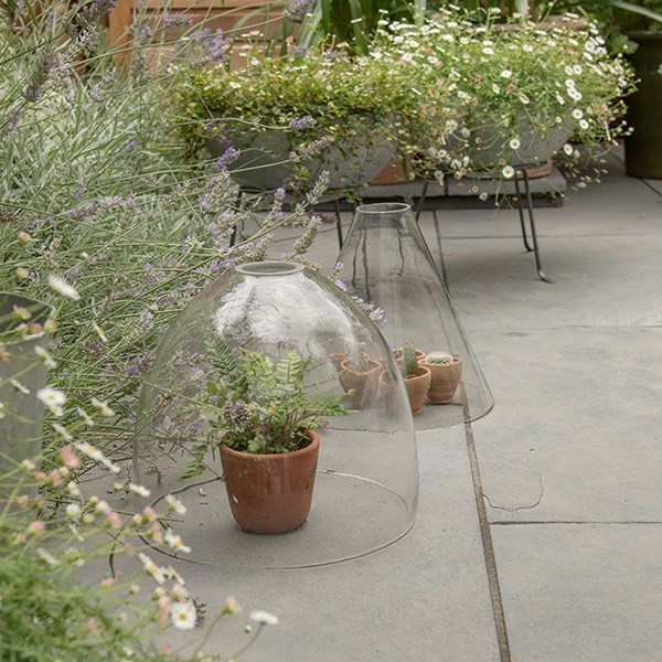Open topped glass cloche