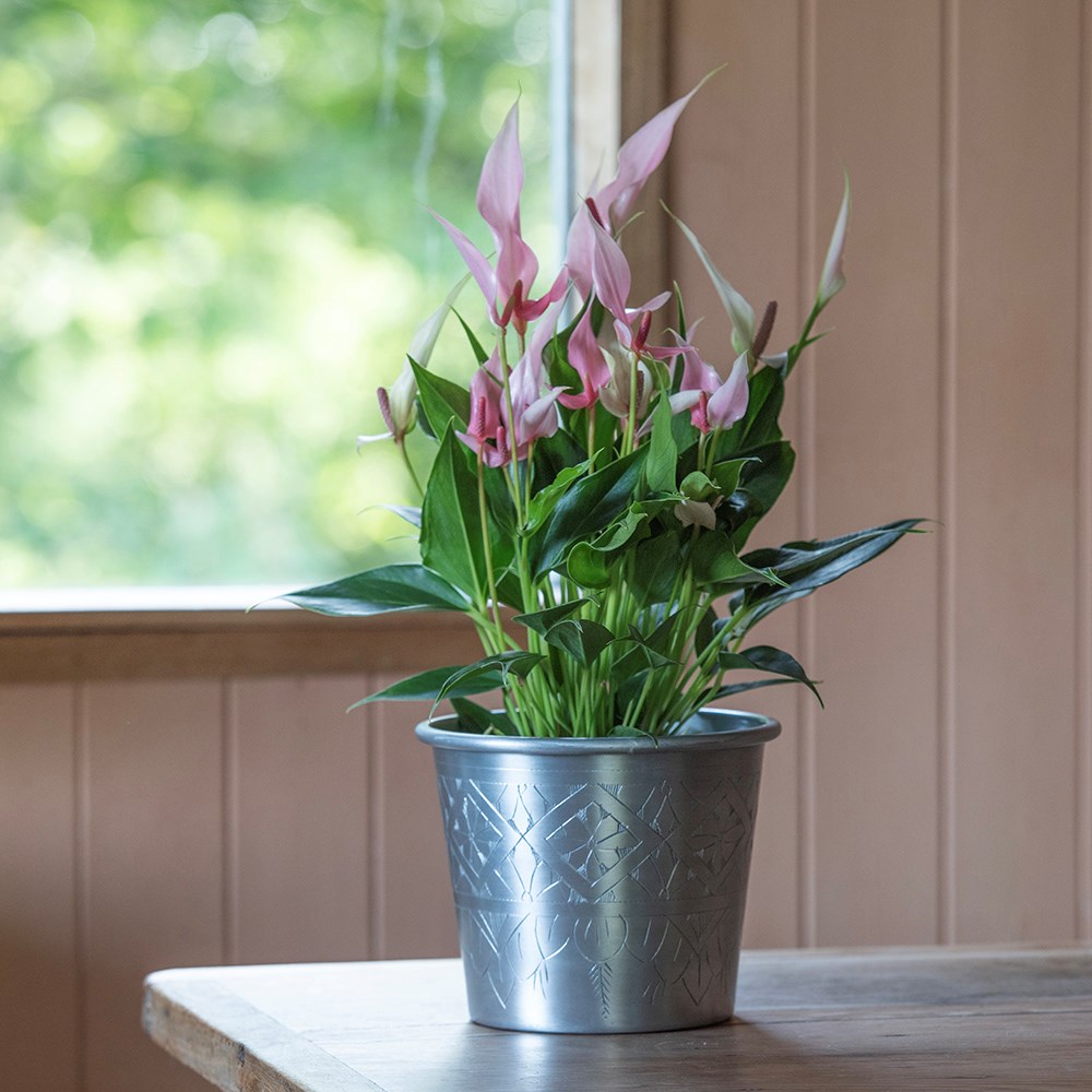Hand etched aluminium planter 