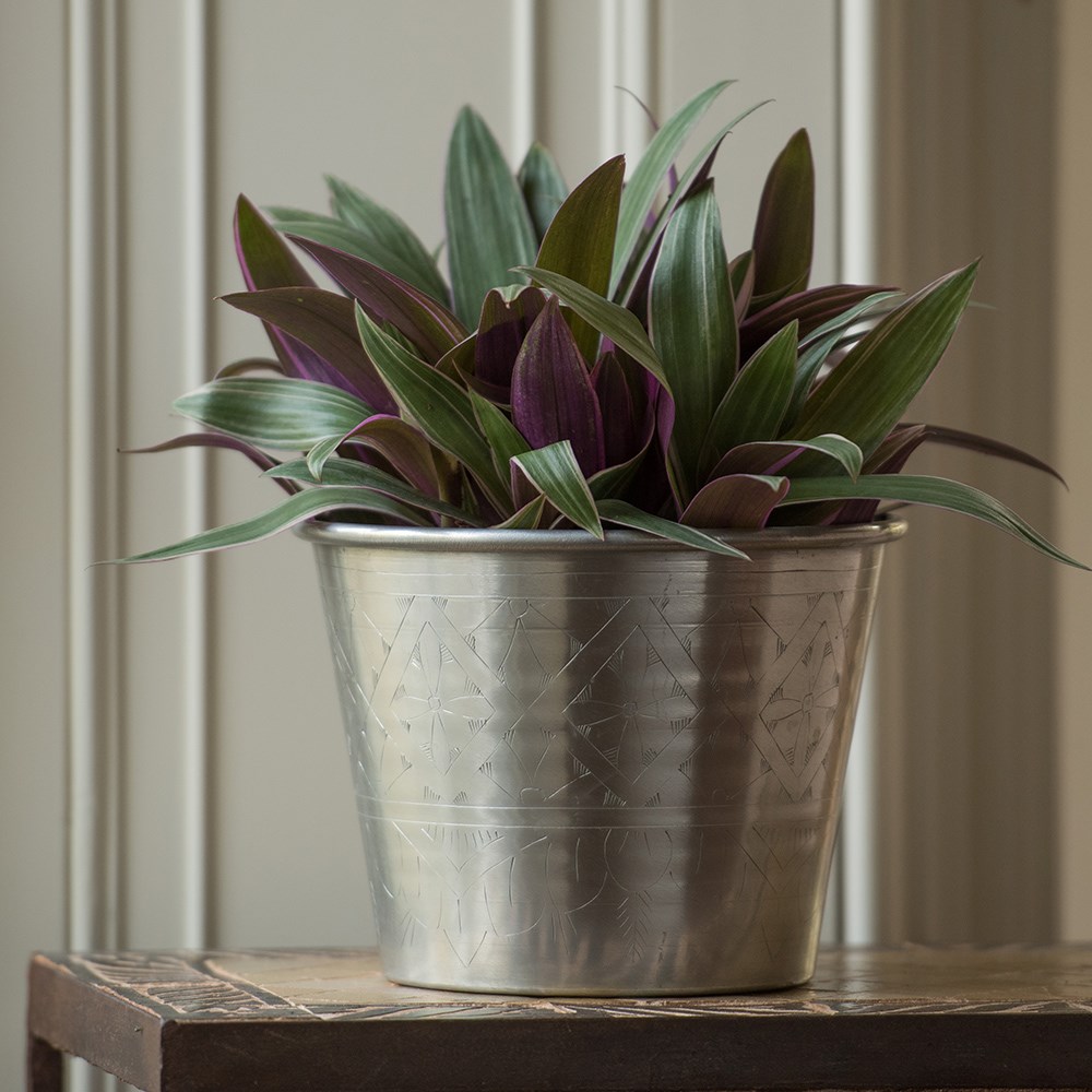 Hand etched aluminium planter 