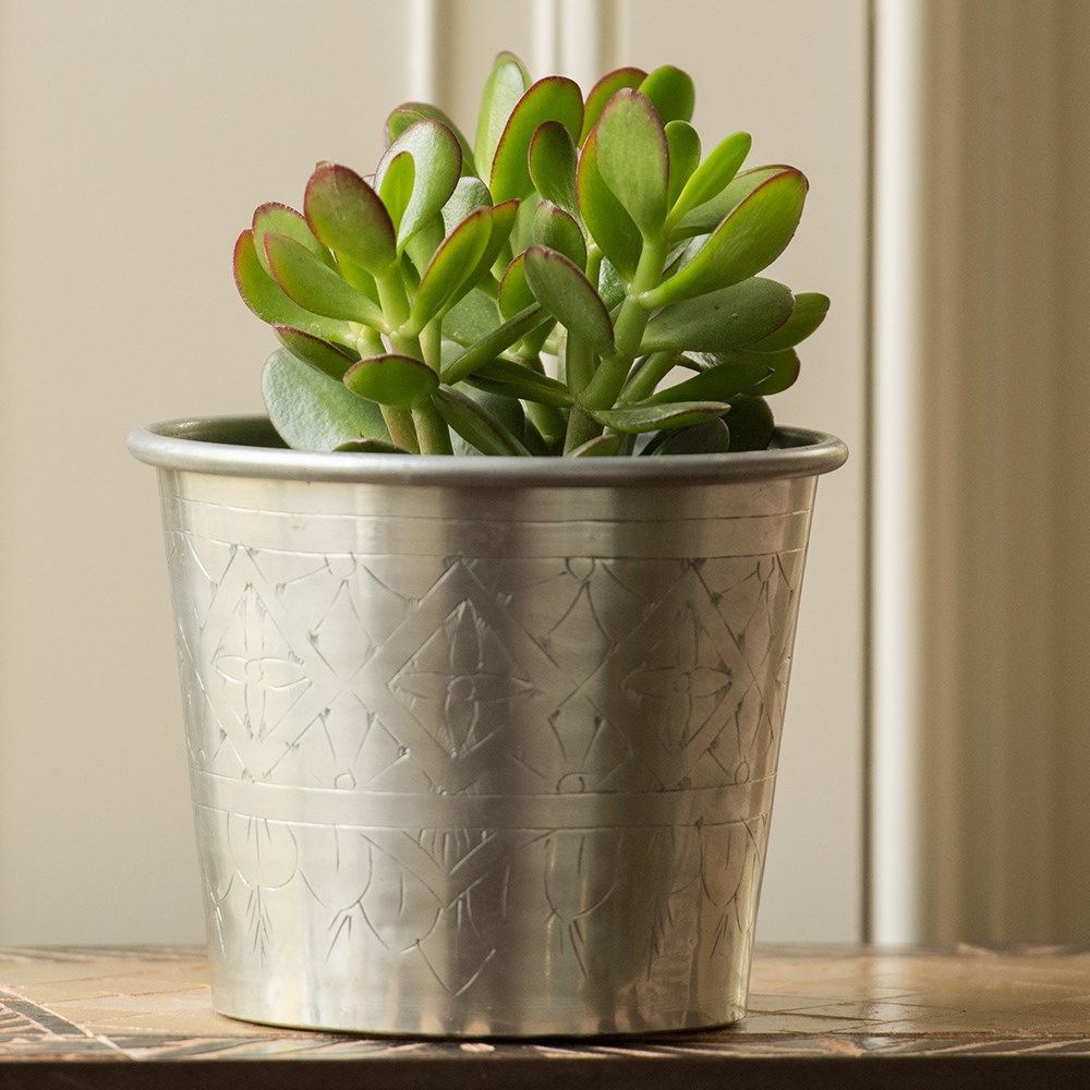 Hand etched aluminium planter 