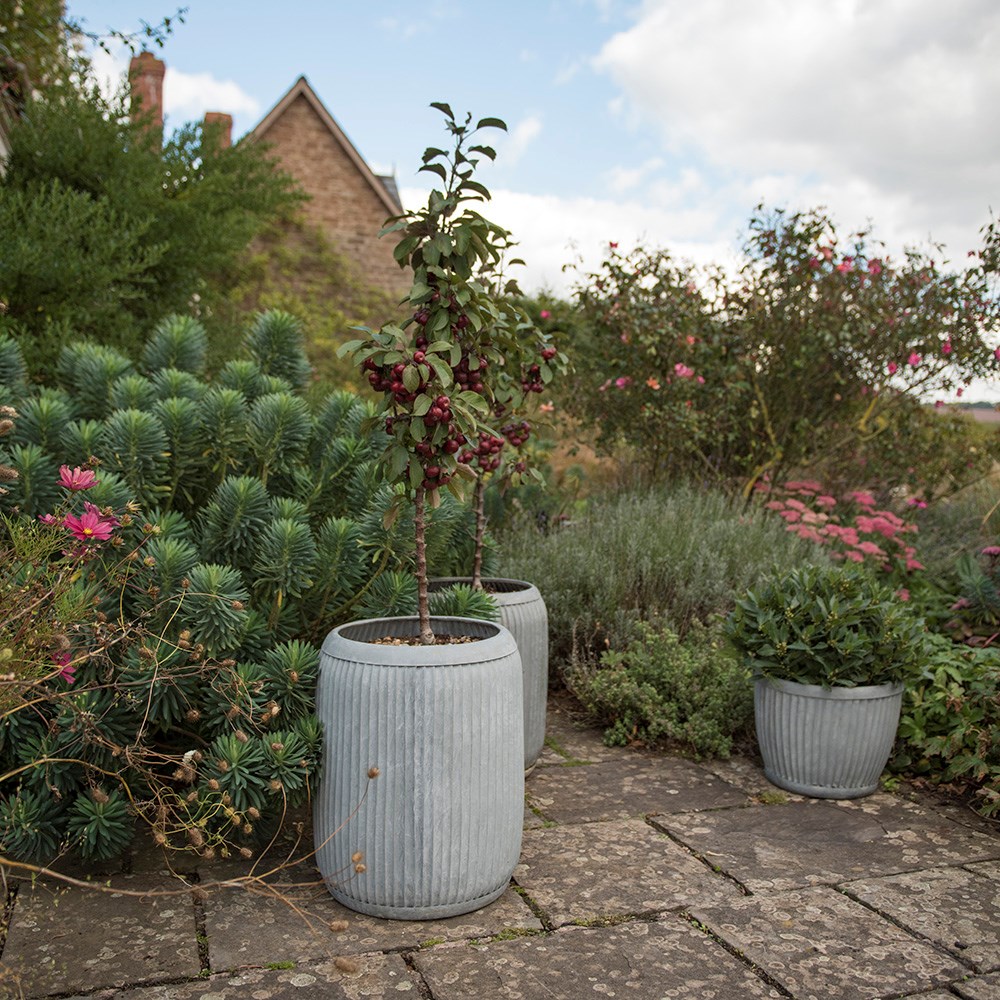 Dolly tub planter - aged zinc