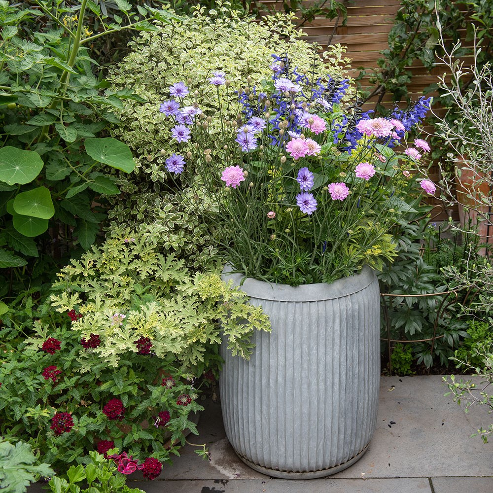 Dolly tub planter - aged zinc