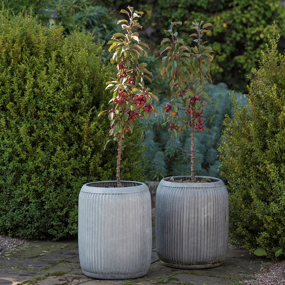 Dolly tub planter - aged zinc