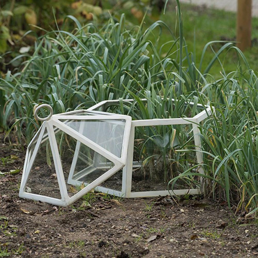 Hexagonal lidded cloche