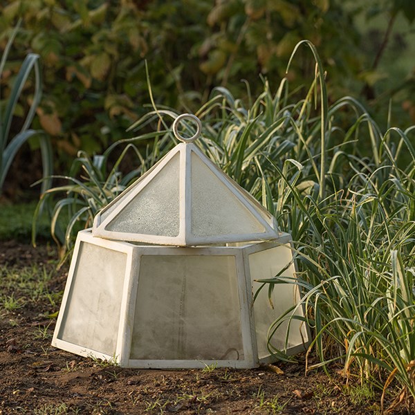 Hexagonal lidded cloche