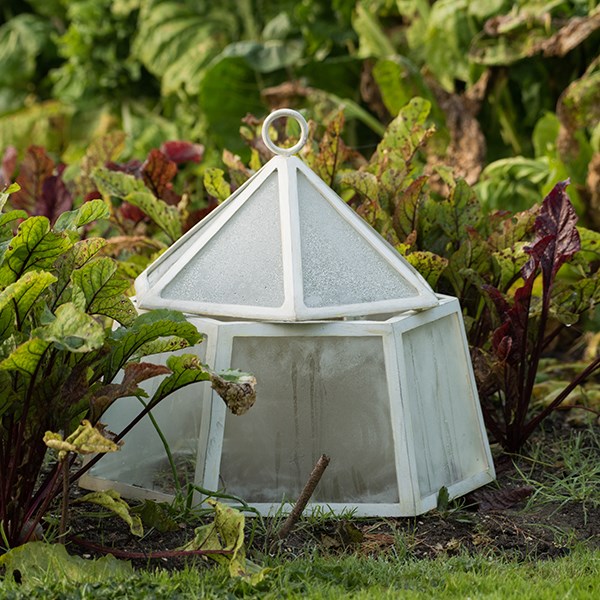 Hexagonal lidded cloche