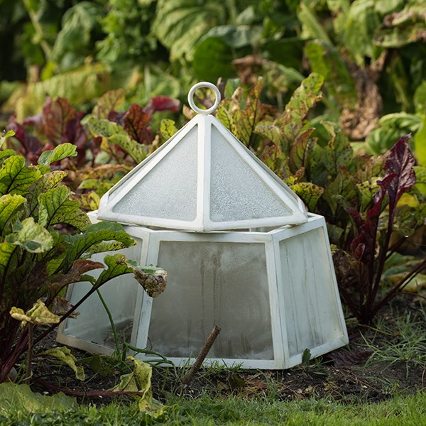 Hexagonal lidded cloche