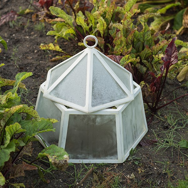Hexagonal lidded cloche
