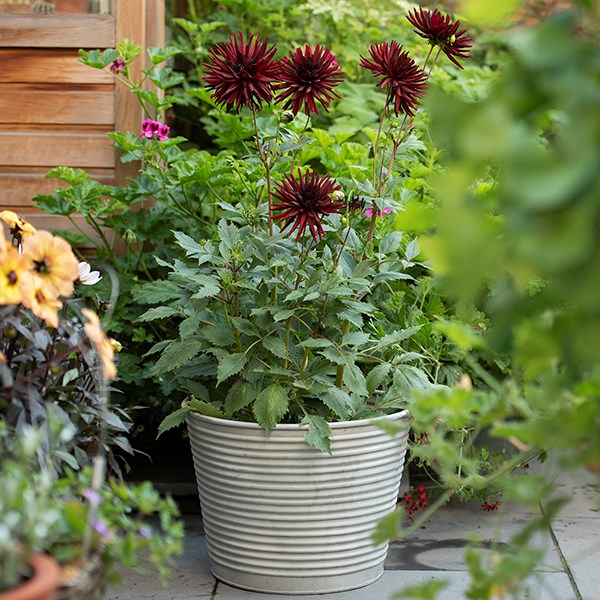 Ribbed galvanised metal planter - aged zinc