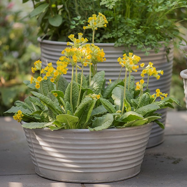 Ribbed galvanised metal planter - aged zinc