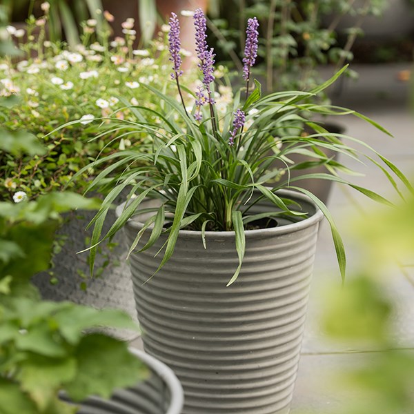 Ribbed galvanised metal planter - aged zinc