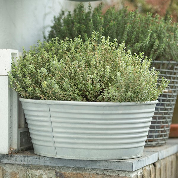 Ribbed galvanised metal planter - aged zinc