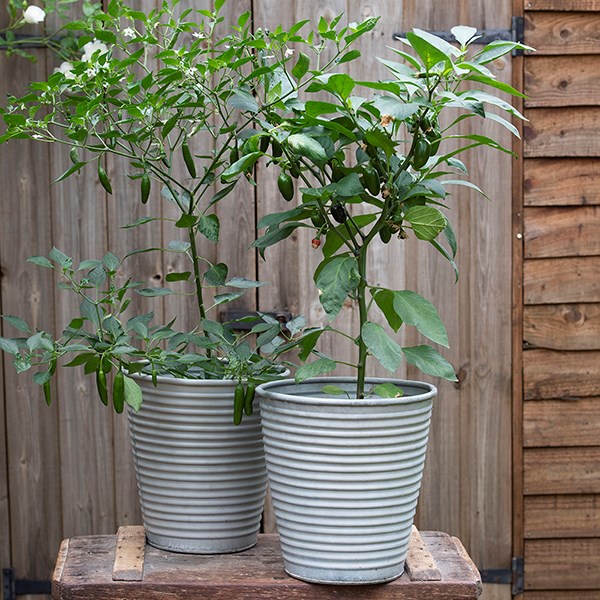 Ribbed galvanised metal planter - aged zinc