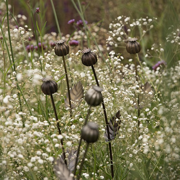 Poppy seed head stake - large seed head