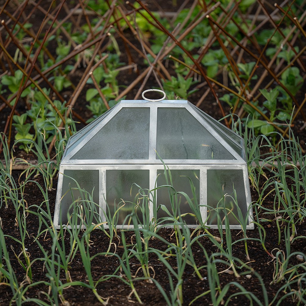 Rectangular Victorian cloche - chalky white