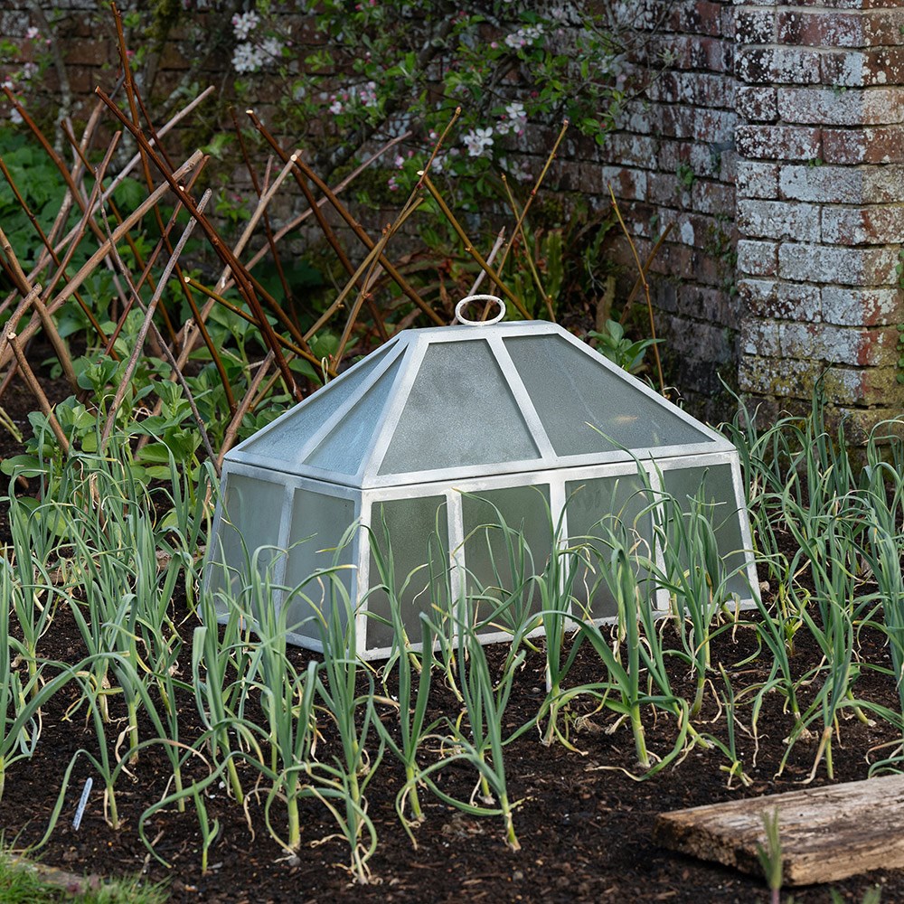 Rectangular Victorian cloche - chalky white