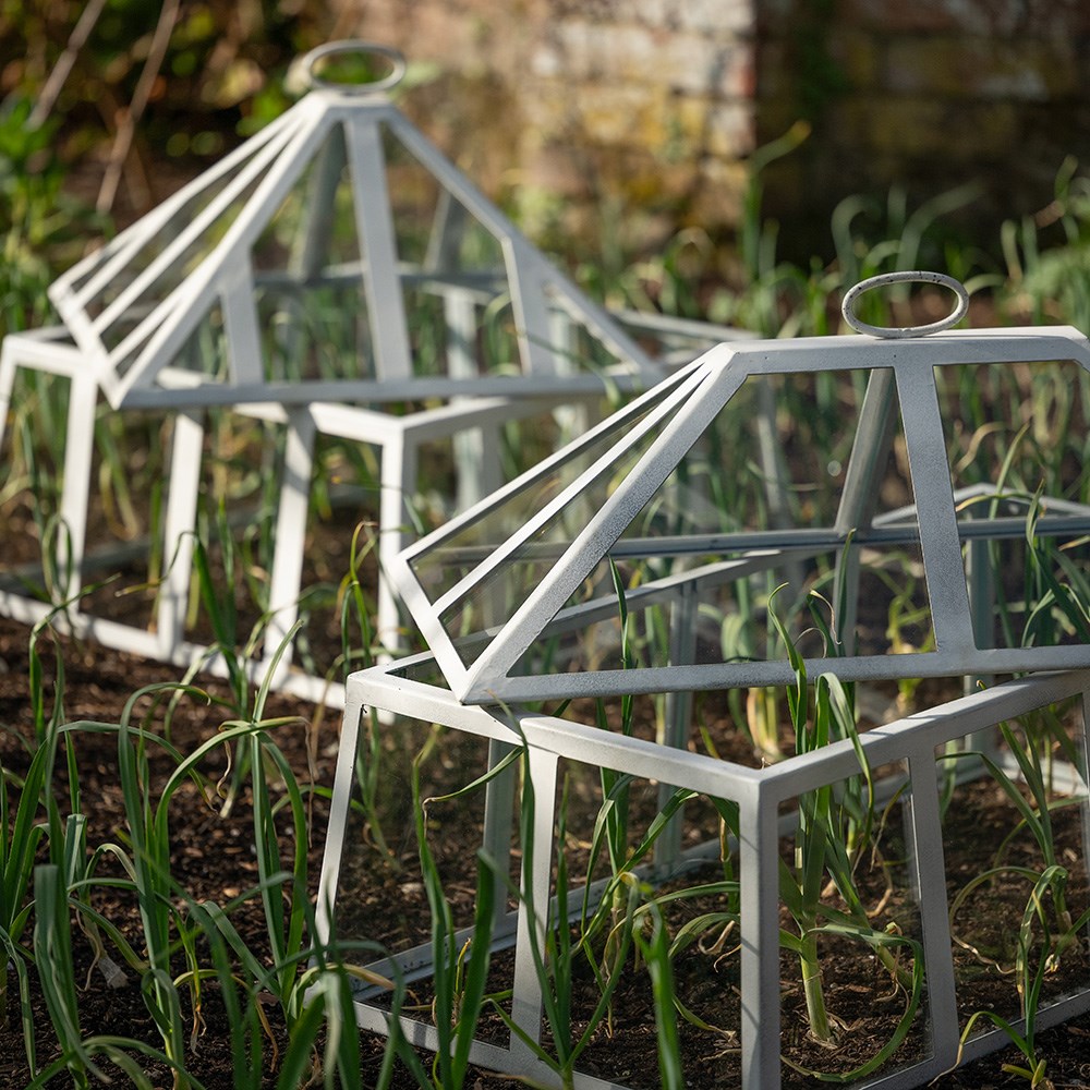 Rectangular Victorian cloche - chalky white