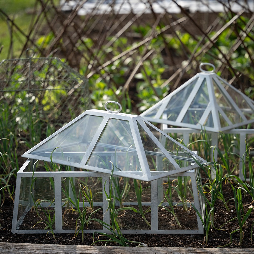 Rectangular Victorian cloche - chalky white