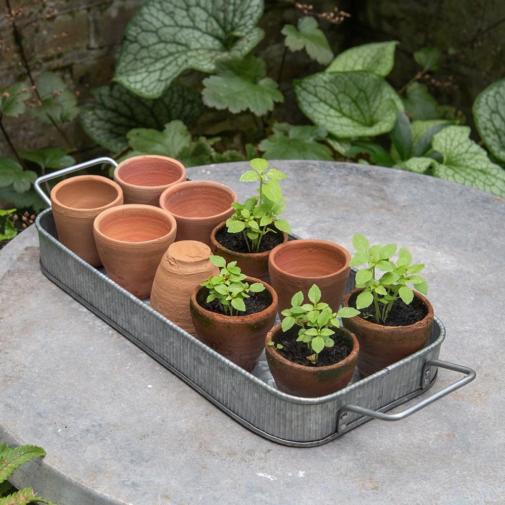 Terracotta grow pots - set of 10 with galvanised metal tray