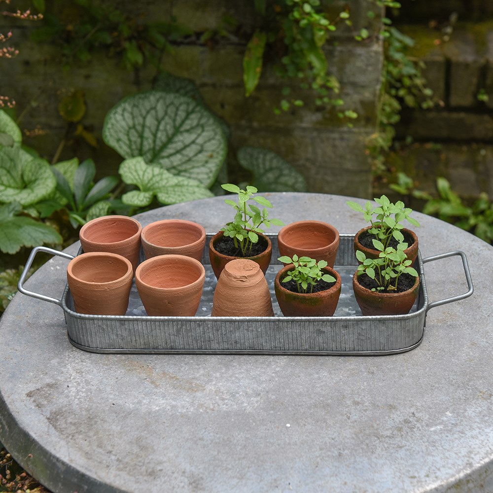 Terracotta grow pots - set of 10 with galvanised metal tray