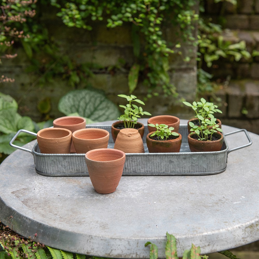 Terracotta grow pots - set of 10 with galvanised metal tray