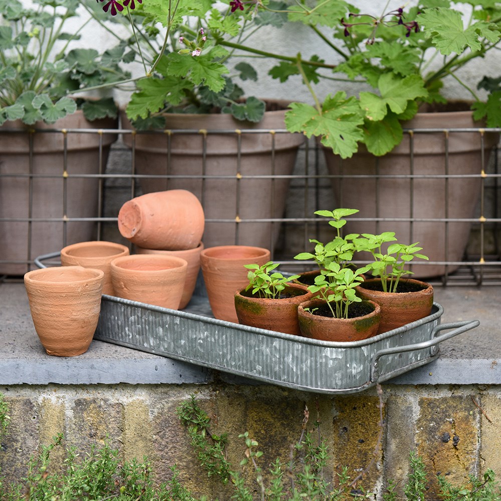 Terracotta grow pots - set of 10 with galvanised metal tray