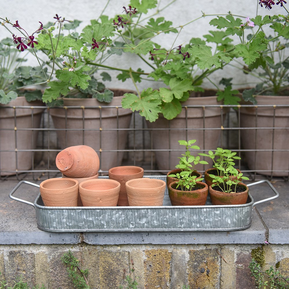 Terracotta grow pots - set of 10 with galvanised metal tray