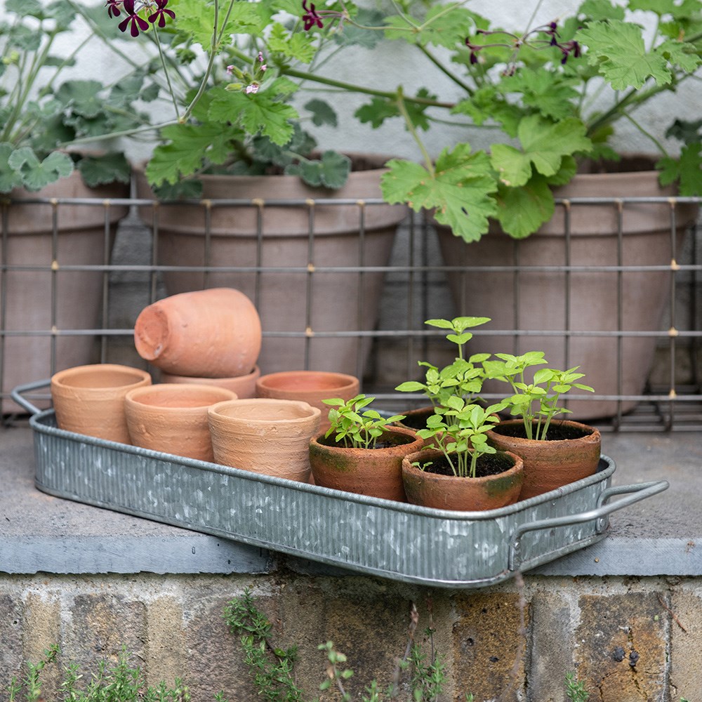 Terracotta grow pots - set of 10 with galvanised metal tray