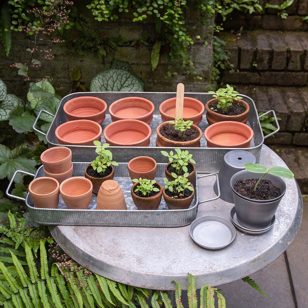 Terracotta grow pots - set of 10 with galvanised metal tray