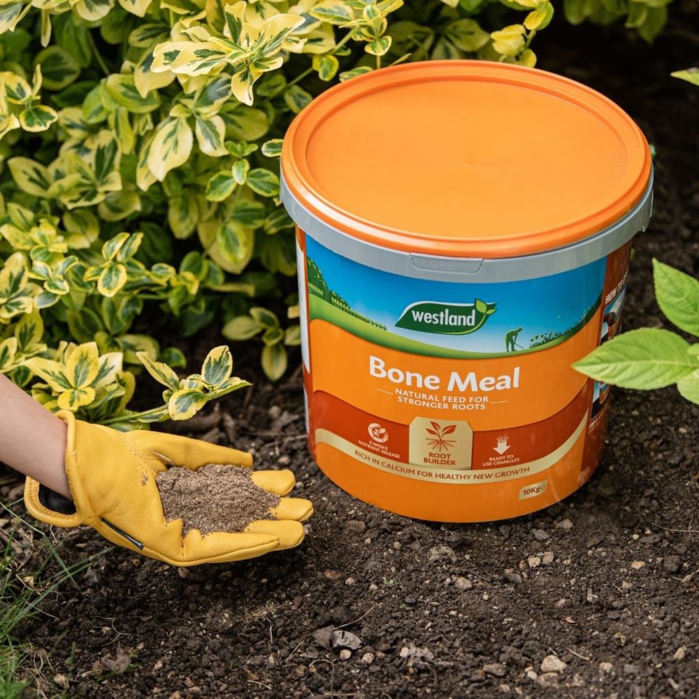Bonemeal 8kg