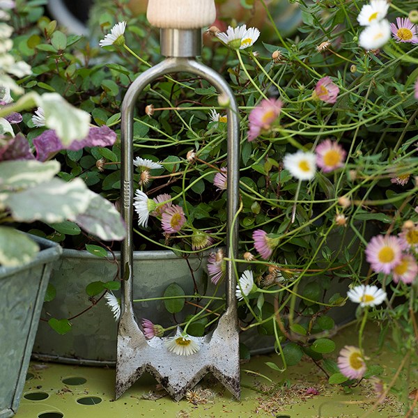 Sneeboer royal Dutch hand hoe