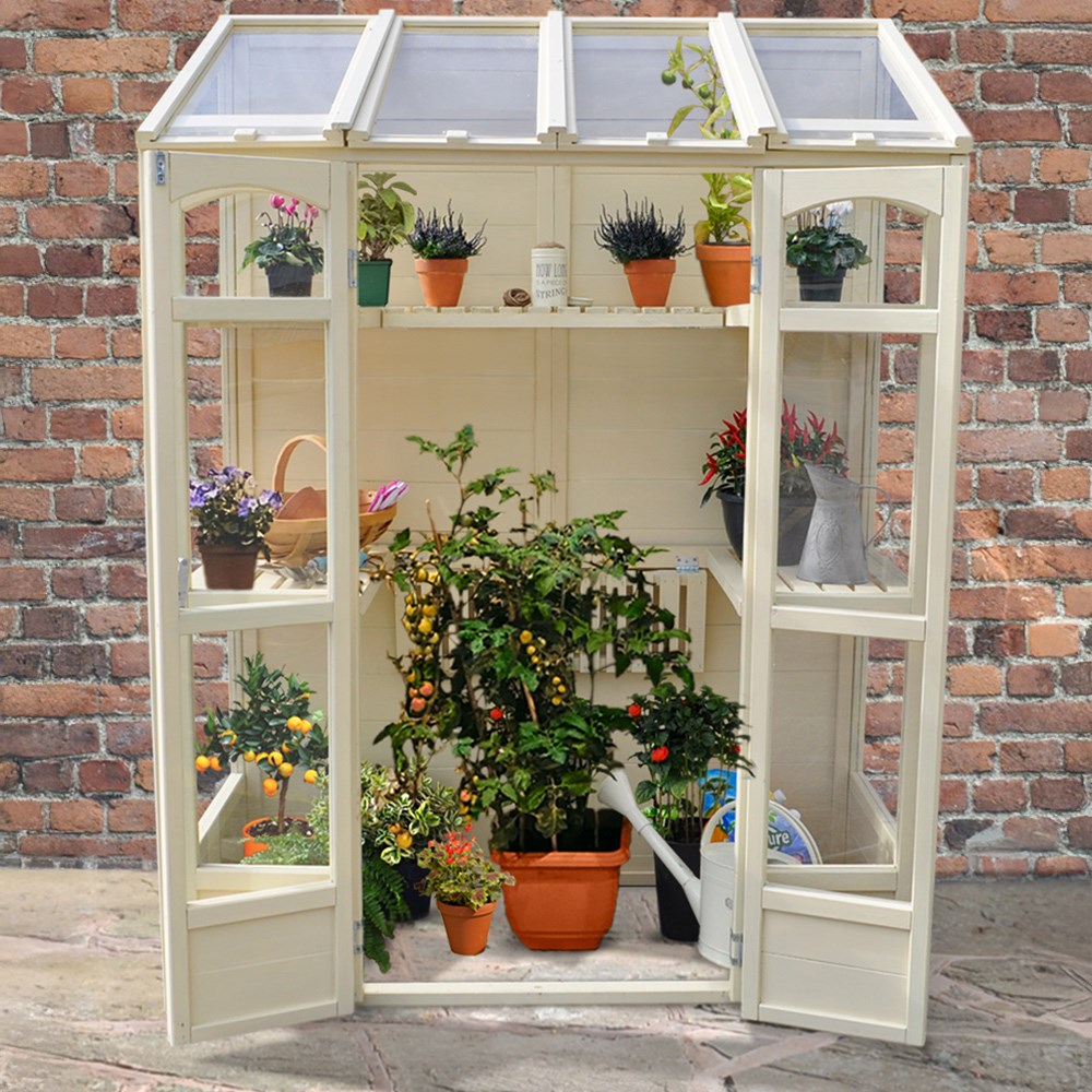 Victorian wooden tall wall greenhouse - natural