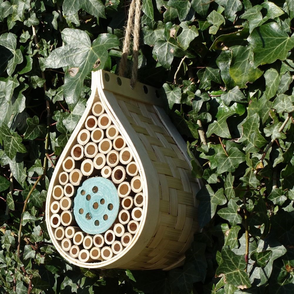 Dewdrop bee & bug hotel